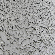 L204464