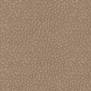 61004/46/57/58/62/77 : 61004S5