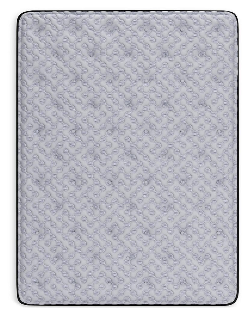 Anniversary Edition Plush  Mattress